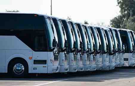 Exotic Bus and Limo