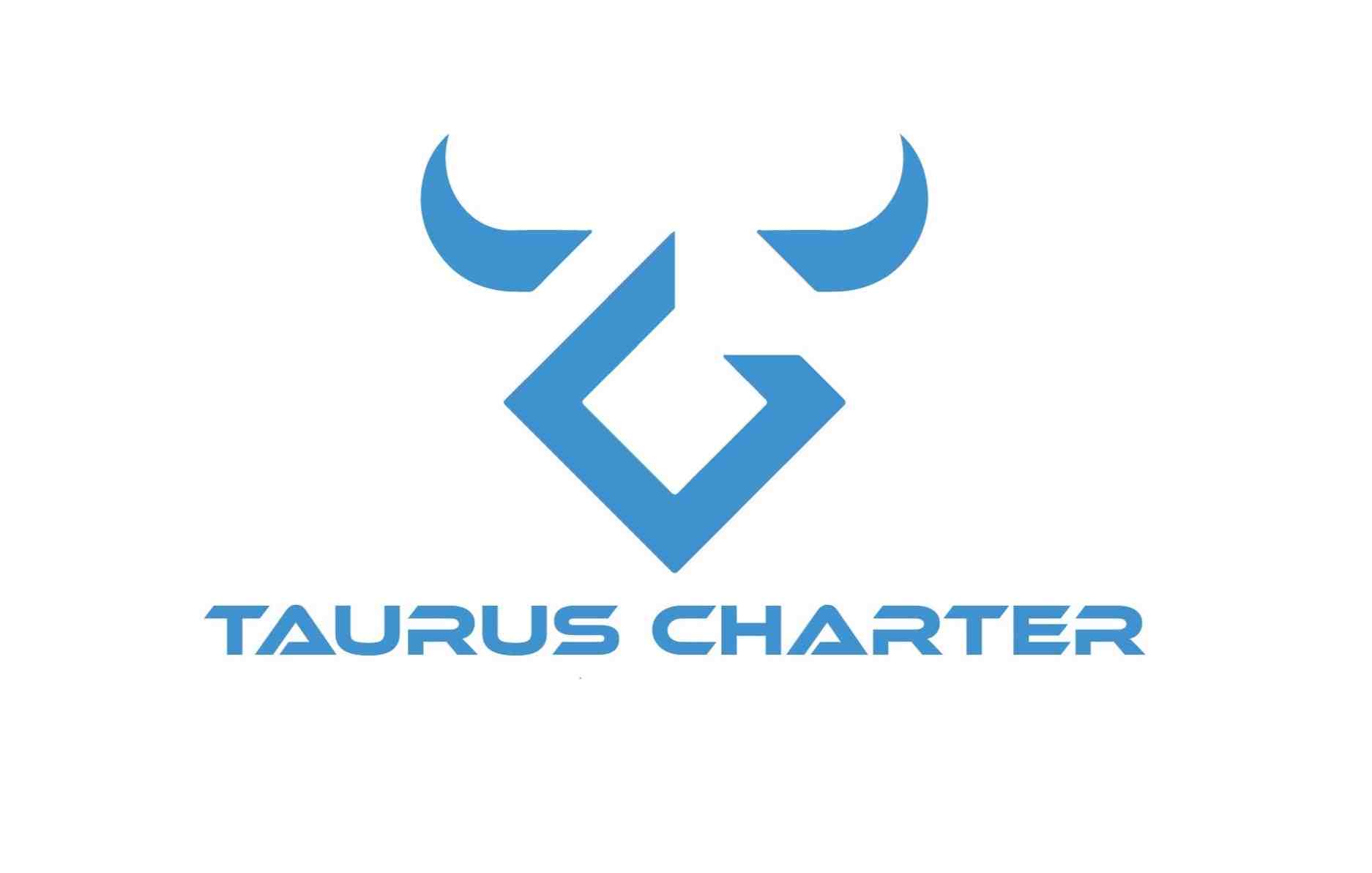 TAURUS CHARTER INC