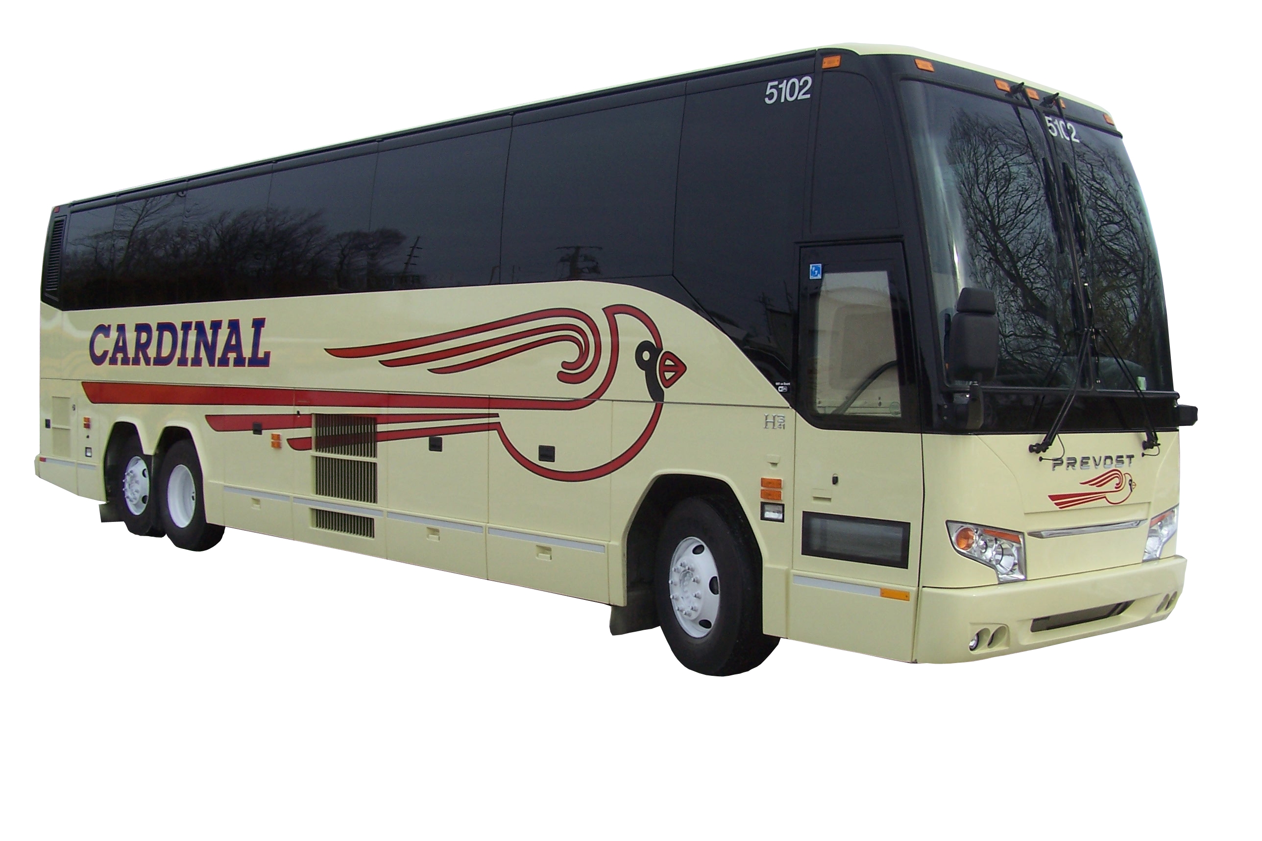 Cardinal Buses